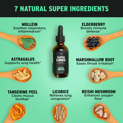 SuperBonsai Super Lungs Mullein Drops – Herbal Lung Support Tincture with Mullein Leaf Extract Elderberry Reishi Marshmallow Root SuperBonsai