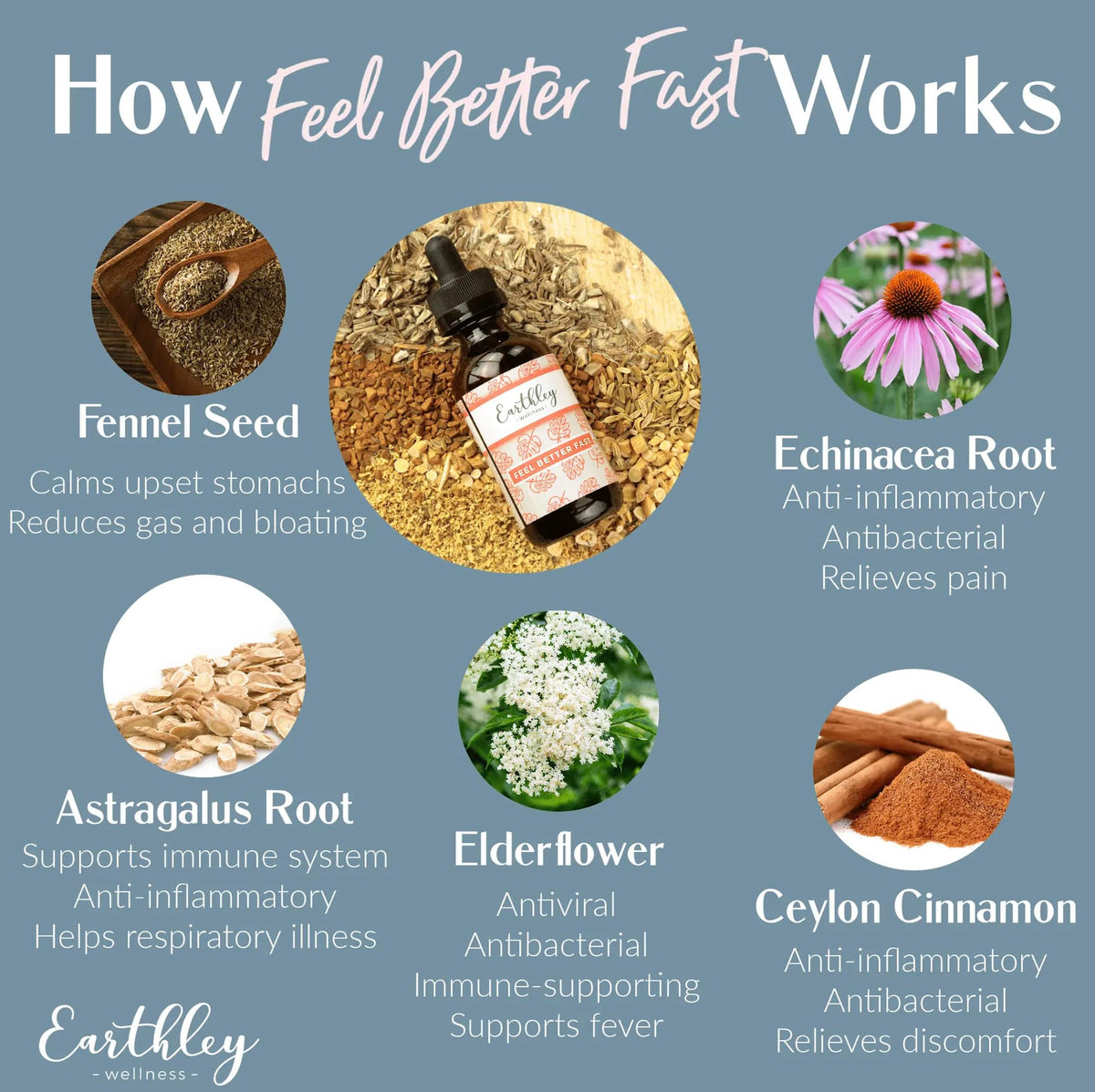 Earthley Wellness Feel Better Fast, All-Natural Relief for Minor Ailments, Organic Herbal Formula, Supports Immune & Digestive Health, Echinacea Root and More Earthley Wellness