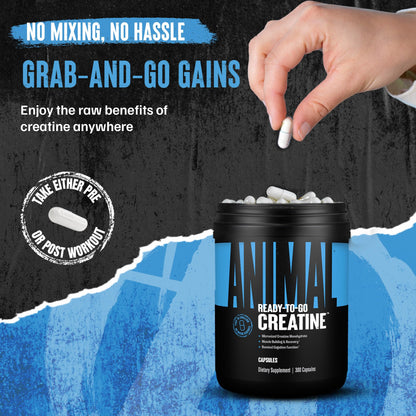 Animal Micronized Creatine Monohydrate Capsules - 300 Caps, 2500mg per Serving to Support Muscle Growth, Endurance, ATP Production, Cognitive Function, Strength Animal
