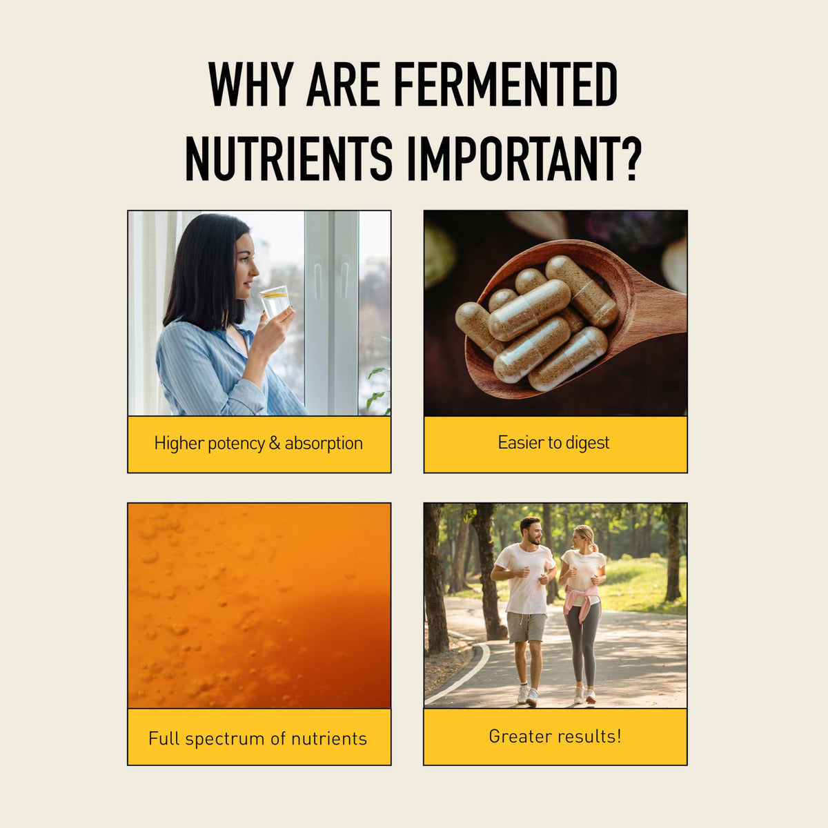 Living Alchemy Gut Health Supplements for Men & Women - Your Flora Probiotic Professional Digestion Supplement with Fermented Soybean, Prebiotics, Living Alchemy