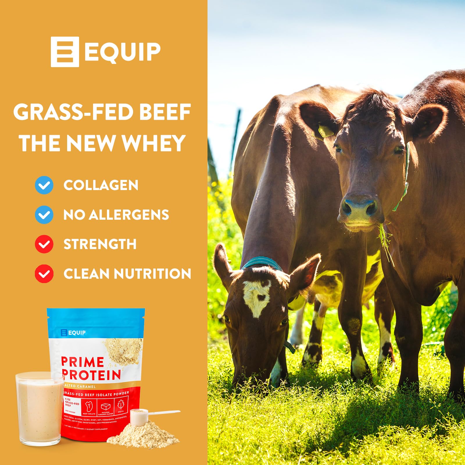 Equip Foods Prime Protein - Grass Fed Beef Protein Powder Isolate - Paleo and Keto Equip buy australia supplements