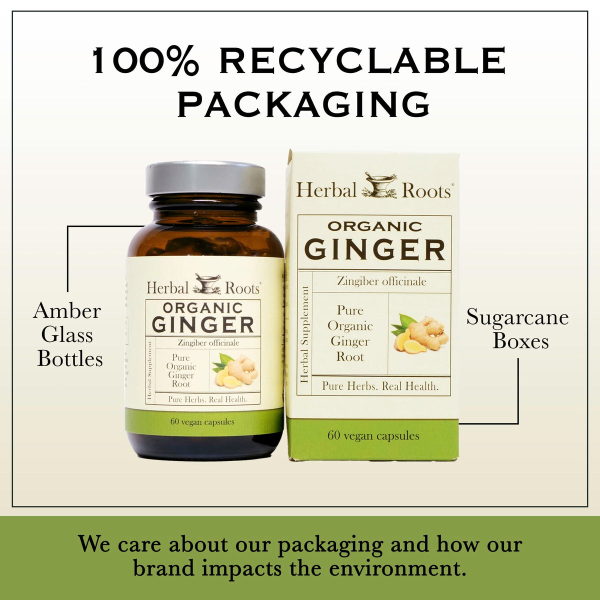 Herbal Roots Ginger Supplement | Organic Ginger Root Capsules | 1,200 mg of Pure Ginger Powder per Serving | 60 Vegan Capsules Herbal Roots
