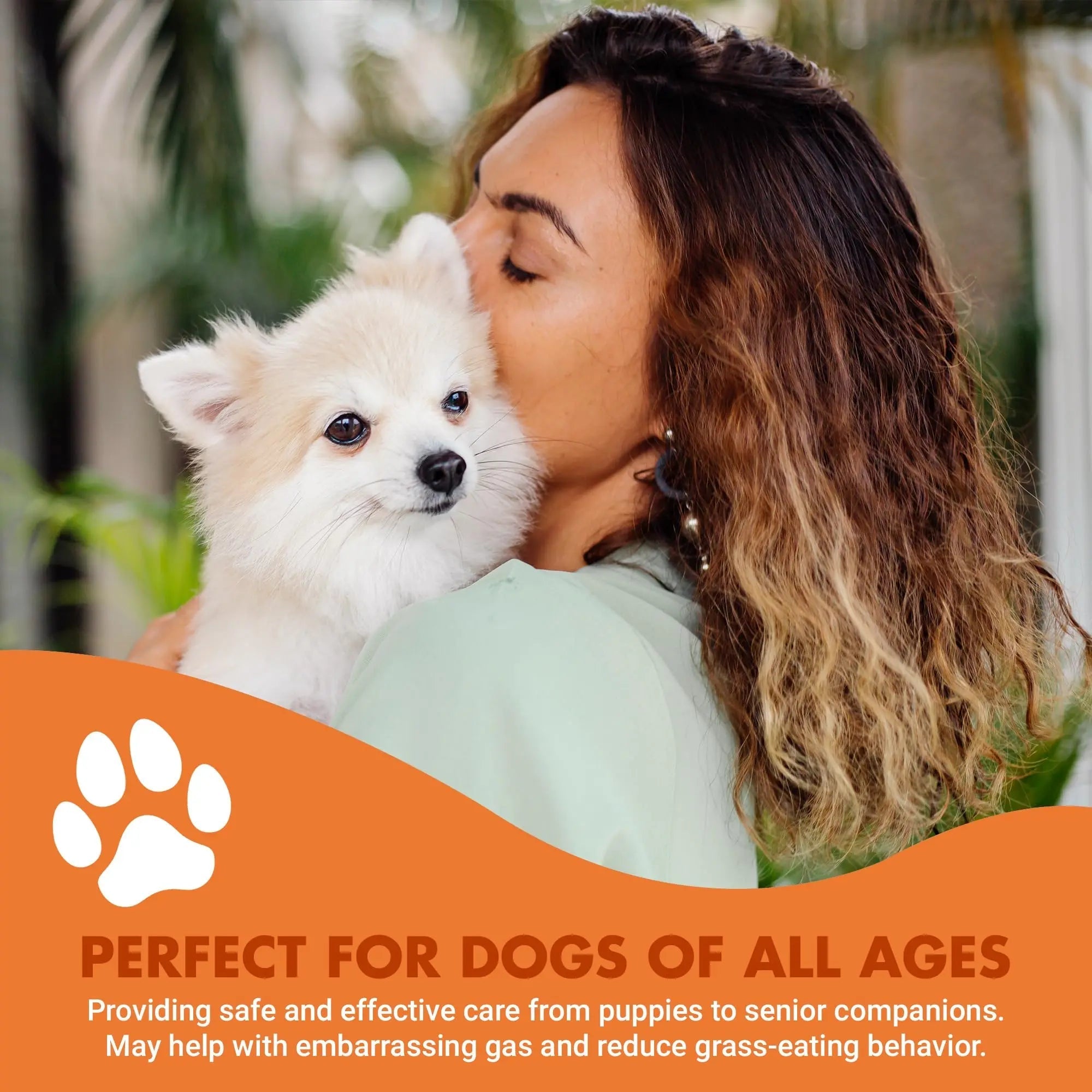 Pre & PostBiotic Support for Dogs – Digestive Upset, Stool Quality & Sensitive Stomach Support – Easy Liquid Formula for Picky Eaters LIQUID-VET buy australia supplements