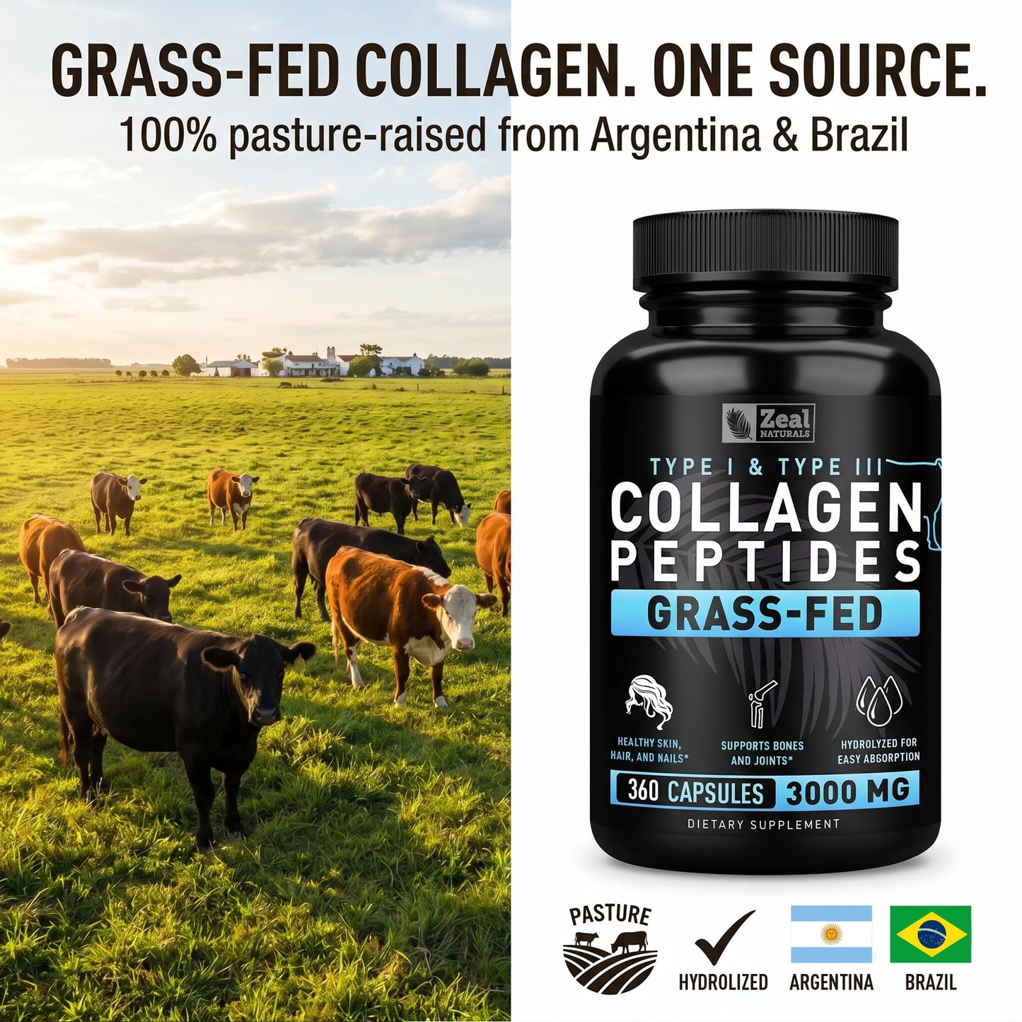 Collagen Peptides Capsules 360 Count - Grass Fed Bovine Hydrolyzed Collagen Pills - Hair, Skin & Nails, Joint Support - Collagen Supplements for Women & Men Zeal Naturals