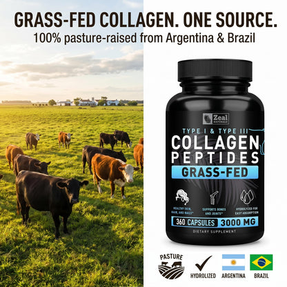 Collagen Peptides Capsules 360 Count - Grass Fed Bovine Hydrolyzed Collagen Pills - Hair, Skin & Nails, Joint Support - Collagen Supplements for Women & Men Zeal Naturals