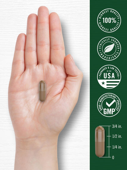 Carlyle Valerian Root Capsules | 240 Count | Herb Extract Supplement | Non-GMO, Gluten Free Carlyle