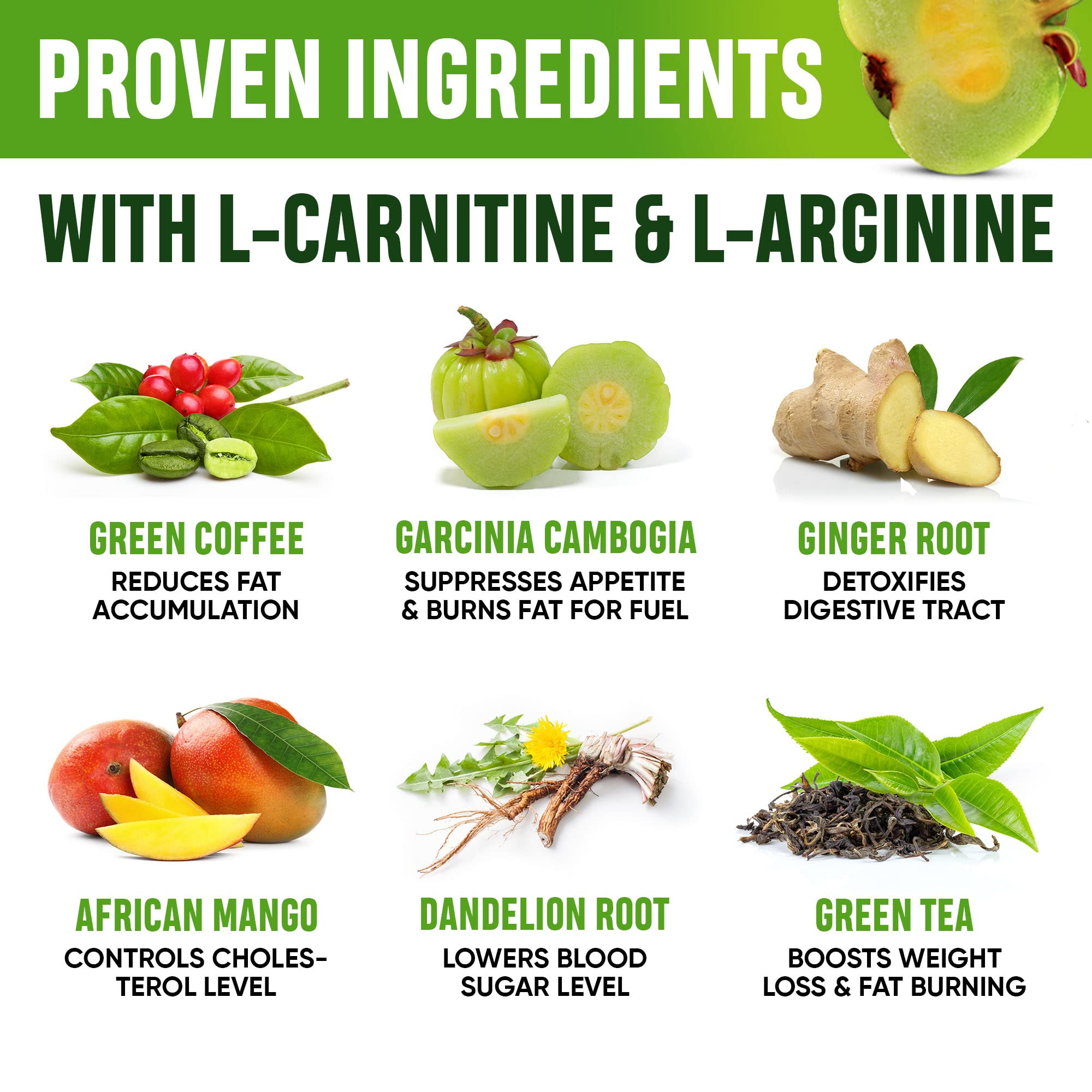 Weight Loss Drops - Appetite Suppressant for Women & Men - Made in the USA - Natural SHAPELINE buy australia supplements