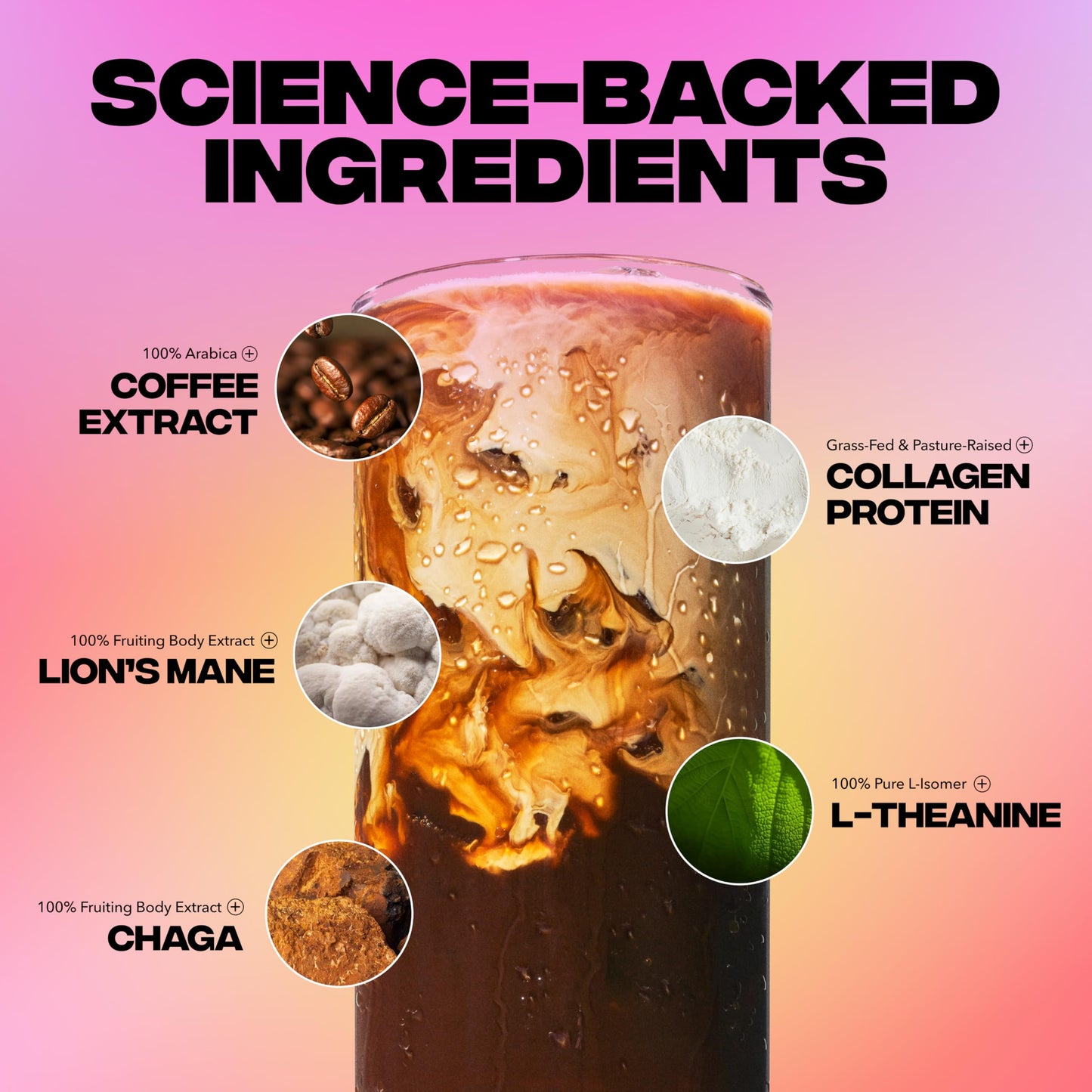 Everyday Dose Premium Adaptogenic Mushroom Coffee with Grass-Fed Collagen, Chaga, Lions Mane & L-Theanine for Better Focus, Energy, Digestion, Skin, and Immunity 30 Servings Everyday Dose
