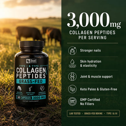 Collagen Peptides Capsules 360 Count - Grass Fed Bovine Hydrolyzed Collagen Pills - Hair, Skin & Nails, Joint Support - Collagen Supplements for Women & Men Zeal Naturals