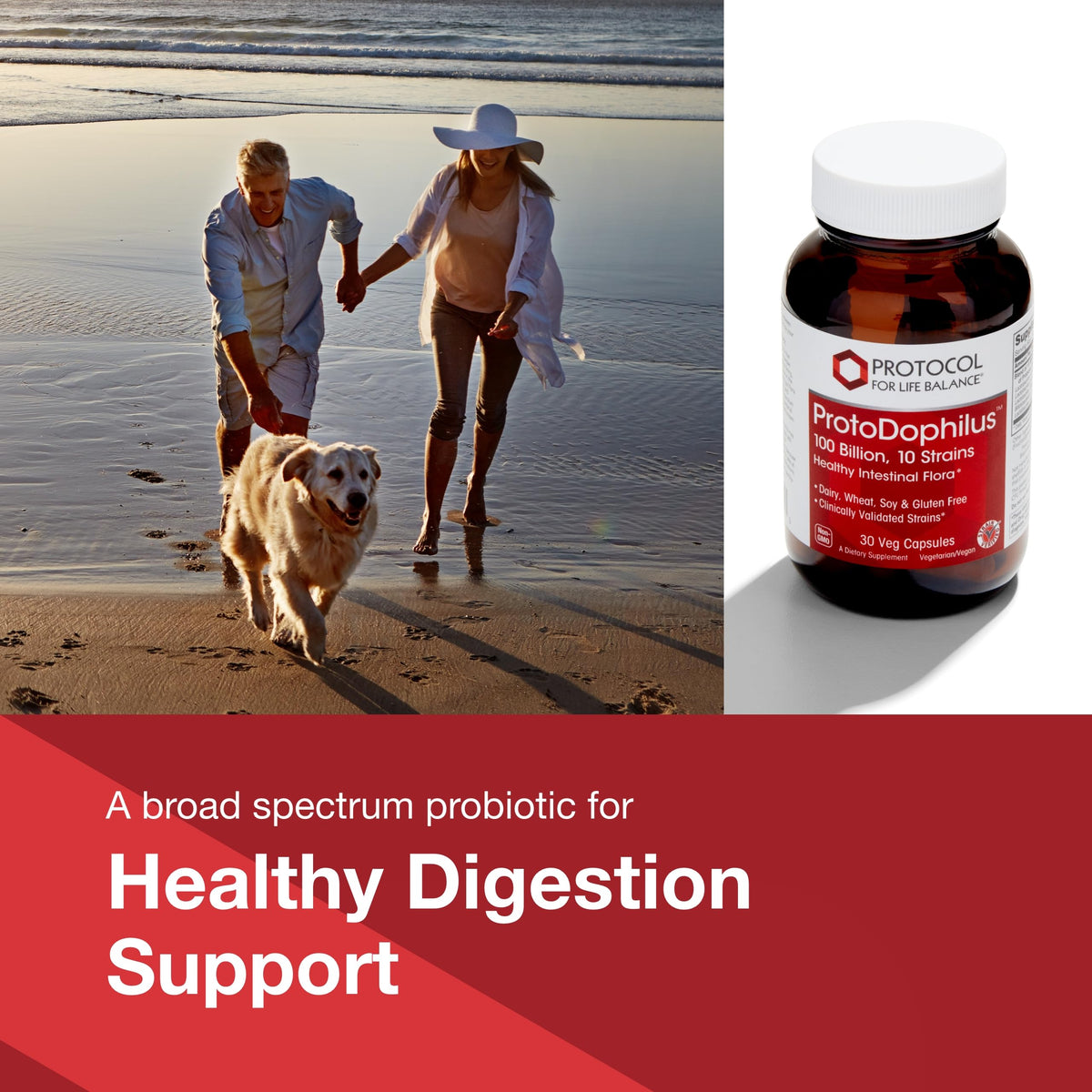 PROTOCOL FOR LIFE BALANCE Proto Dophilus 100 Billion 10 Strains - Support Digestive Gut Health Immune System & Detox - Dairy, Wheat, Soy & Gluten Free - Vegan & Nut Free - 30 Veg Capsules PROTOCOL FOR LIFE BALANCE