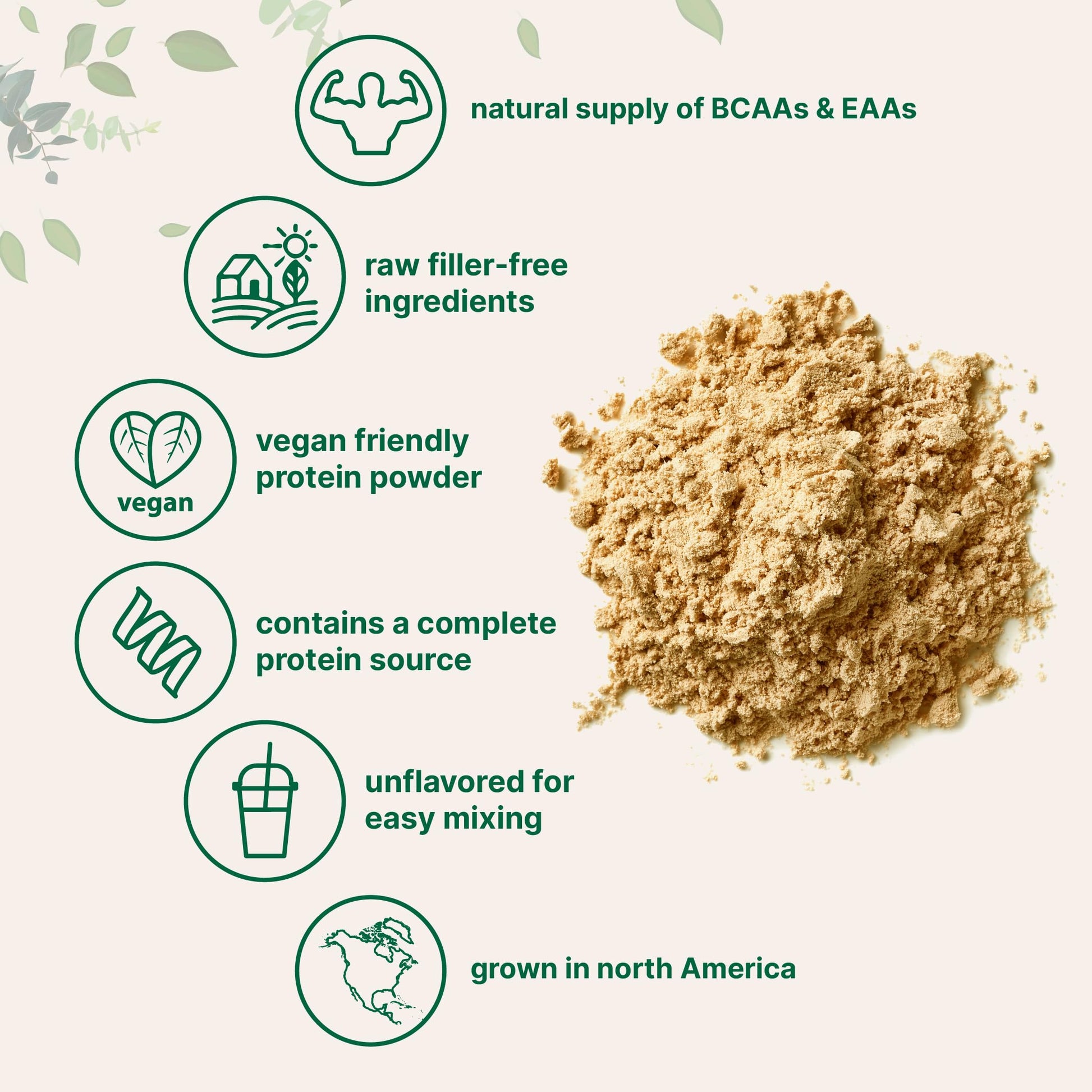 Micro Ingredients North American Grown, Pea Protein Powder, 5 Pounds | Plant Based, Unflavored | Complete Vegan Protein Source with BCAAs & EAAs – 27g Serving | Non-GMO, Keto Friendly Micro Ingredients buy australia supplements