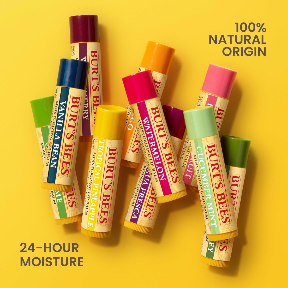 Burt's Bees 100% Natural Moisturizing Lip Balm (Original Beeswax) Burt's Bees