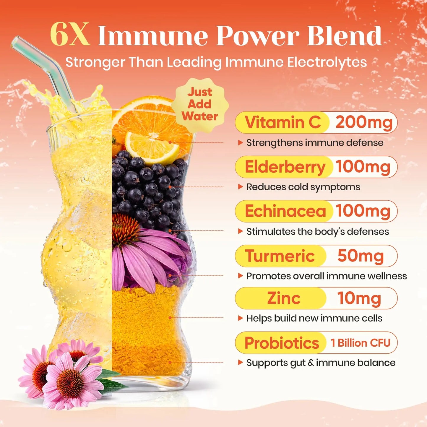 Venture Pal 2-in-1 Hydration + Immune Electrolytes Powder Packets with 7 Electrolytes & 6 Vitamins, Elderberry, Turmeric, Echinacea | Liquid Daily IV Drink Mix Venture Pal