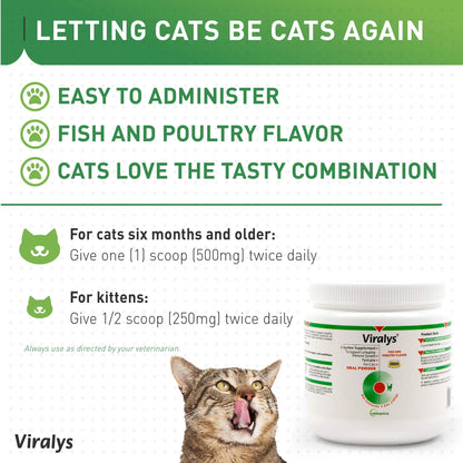 Vetoquinol Viralys Daily L-Lysine Powder for Cats and Kittens, Fish Flavored Lysine Supplement for Cats and Kittens to Support Immune Health Vetoquinol