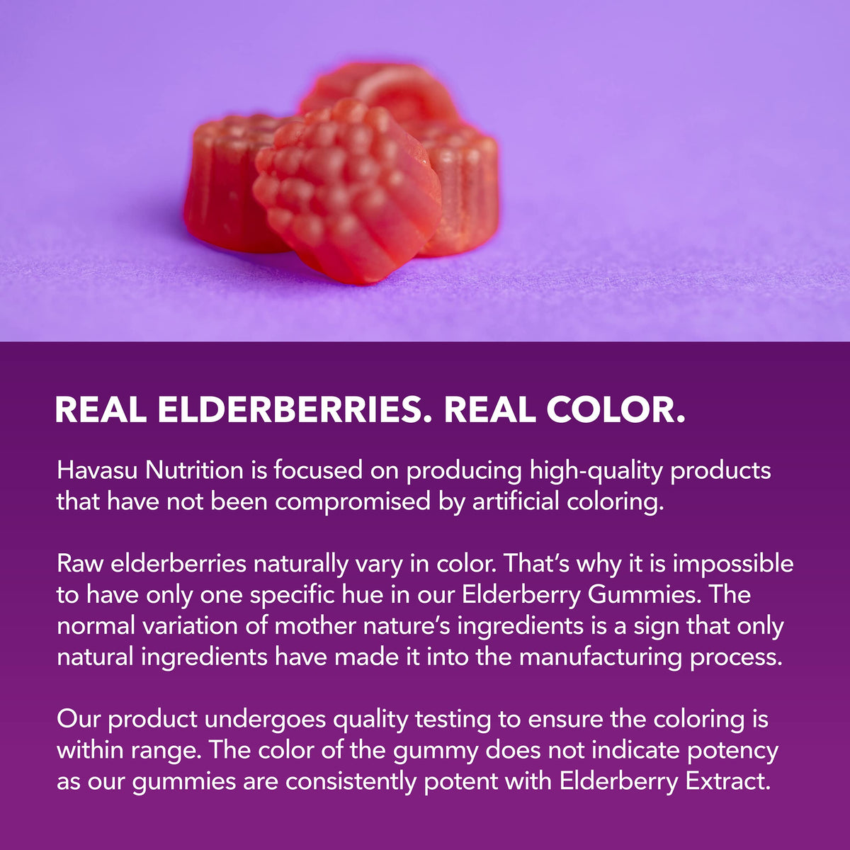 Sambucus Elderberry Gummies for Adults - Immune Support Supplement with Vitamin C and Zinc - Enhanced Formula for Daily Defense - 60 Count HAVASU NUTRITION