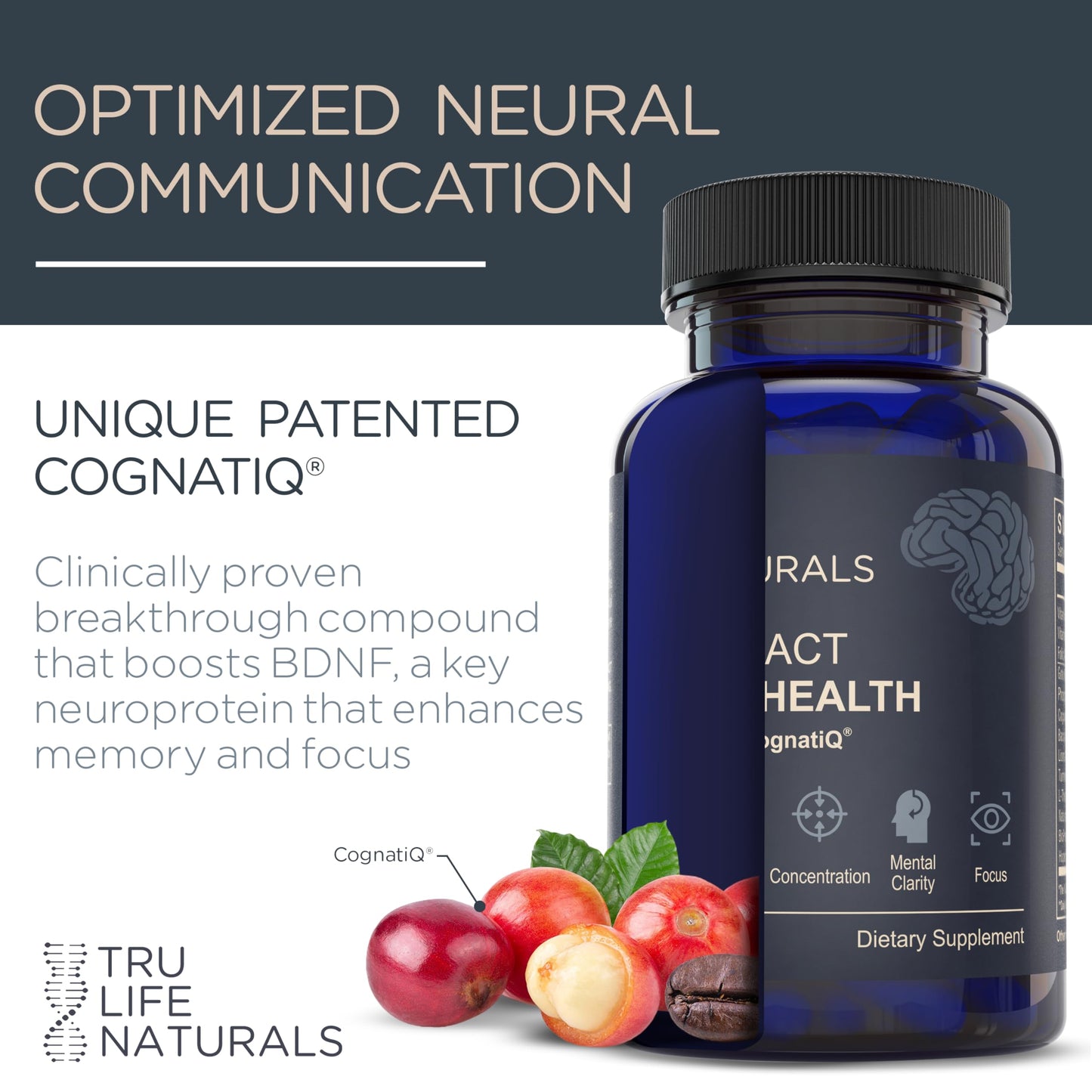 NEUROACT Brain Health Memory, Focus, Concentration, Mental Clarity with CognatiQ, Vitamin B3 & B6 | Manage Stress & Elevate Mood | Holistic Brain Health Formula, Sustained Energy & Well Being TRULIFE NATURALS