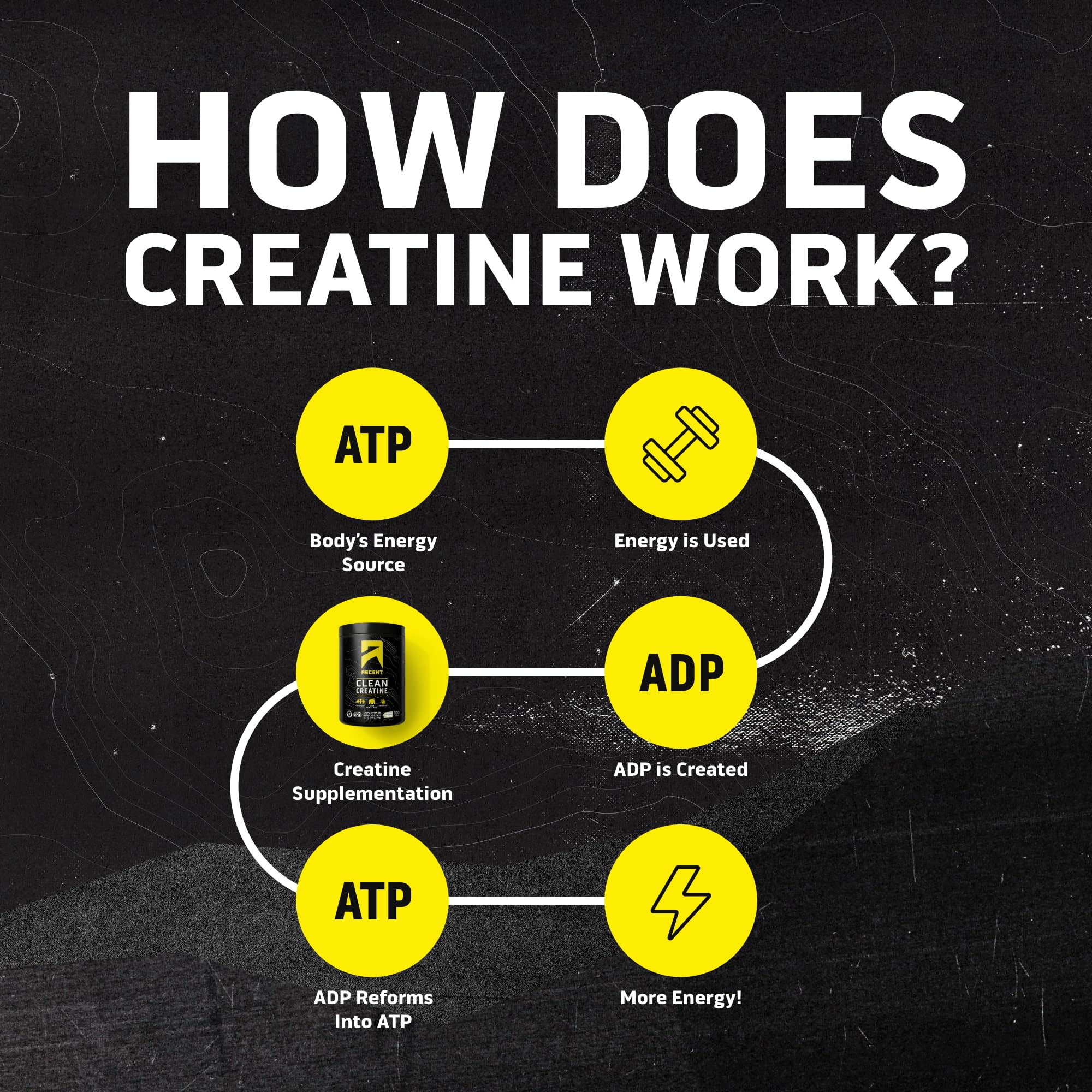 Ascent Clean Creatine Monohydrate Powder - 5G Per Serving, Creapure Creatine Supplement - Unflavored, 100 Servings Ascent buy australia supplements