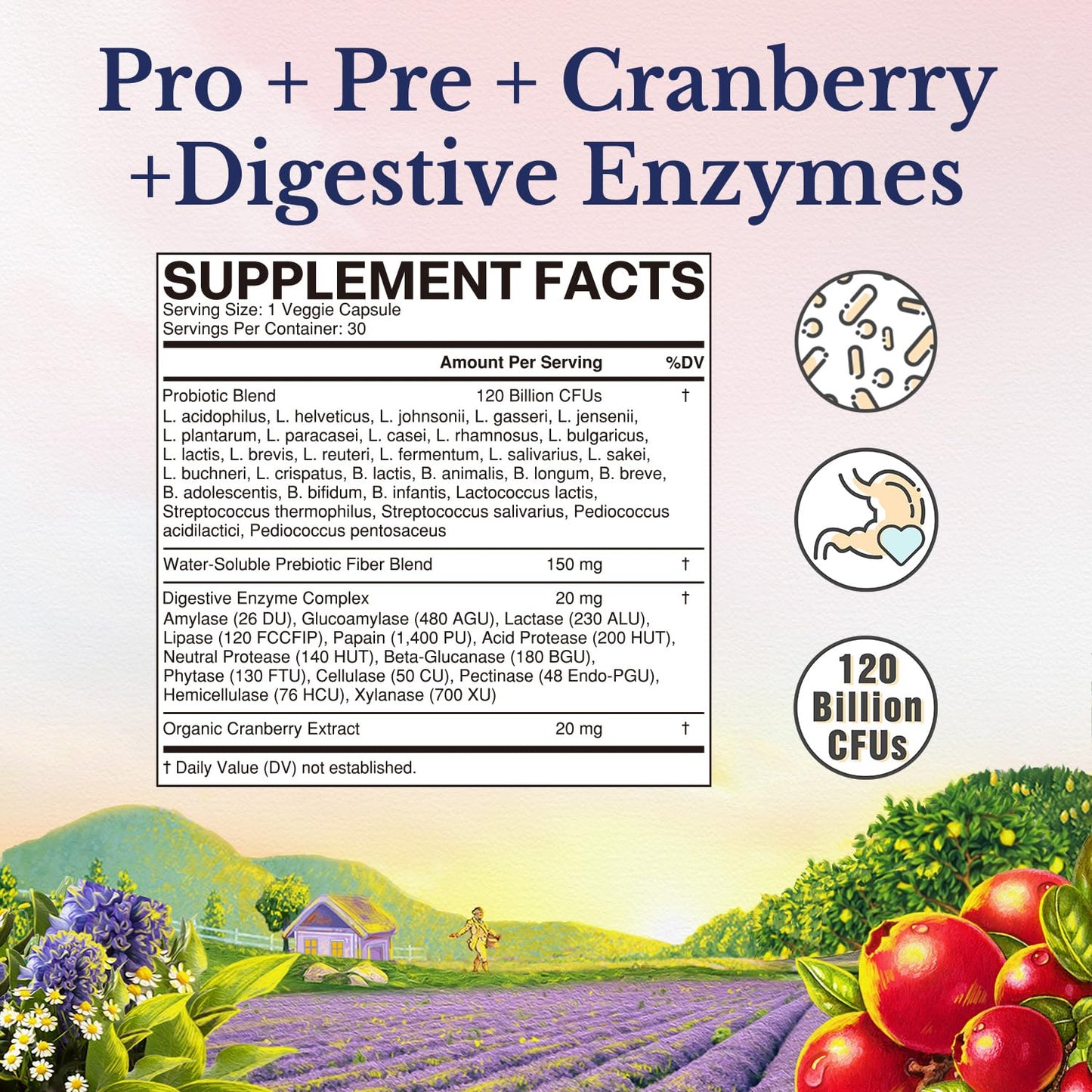 Vitalitown Probiotics for Women 120 Billion CFUs, 30 Strains, with Prebiotics & Digestive Enzymes & Cranberry, Gut & Vaginal Health, Vegan 30 Vitalitown