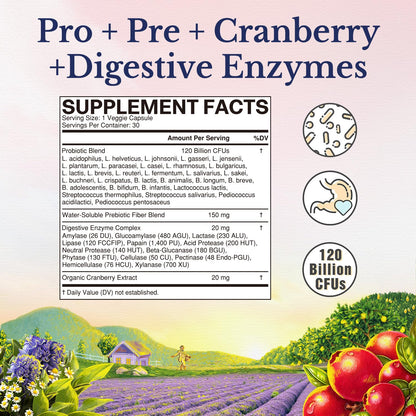 Vitalitown Probiotics for Women 120 Billion CFUs, 30 Strains, with Prebiotics & Digestive Enzymes & Cranberry, Gut & Vaginal Health, Vegan 30 Vitalitown