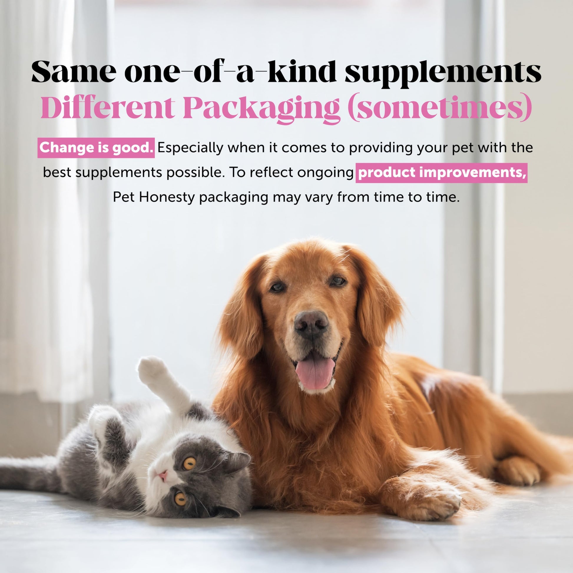 Hemp Hip & Joint Supplement for Dogs - Hemp Oil & Powder - Glucosamine Chondroitin for Dogs, Turmeric, MSM, Green-Lipped Mussel, Supports Mobility, May Reduce Discomfort (Bacon) Pet Honesty buy australia supplements