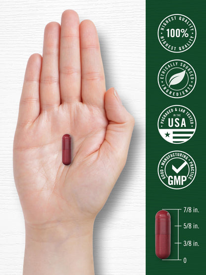 Carlyle Beet Root Capsules | 120 Count | Quick Release Capsules | Non-GMO and Gluten Free Supplement Carlyle
