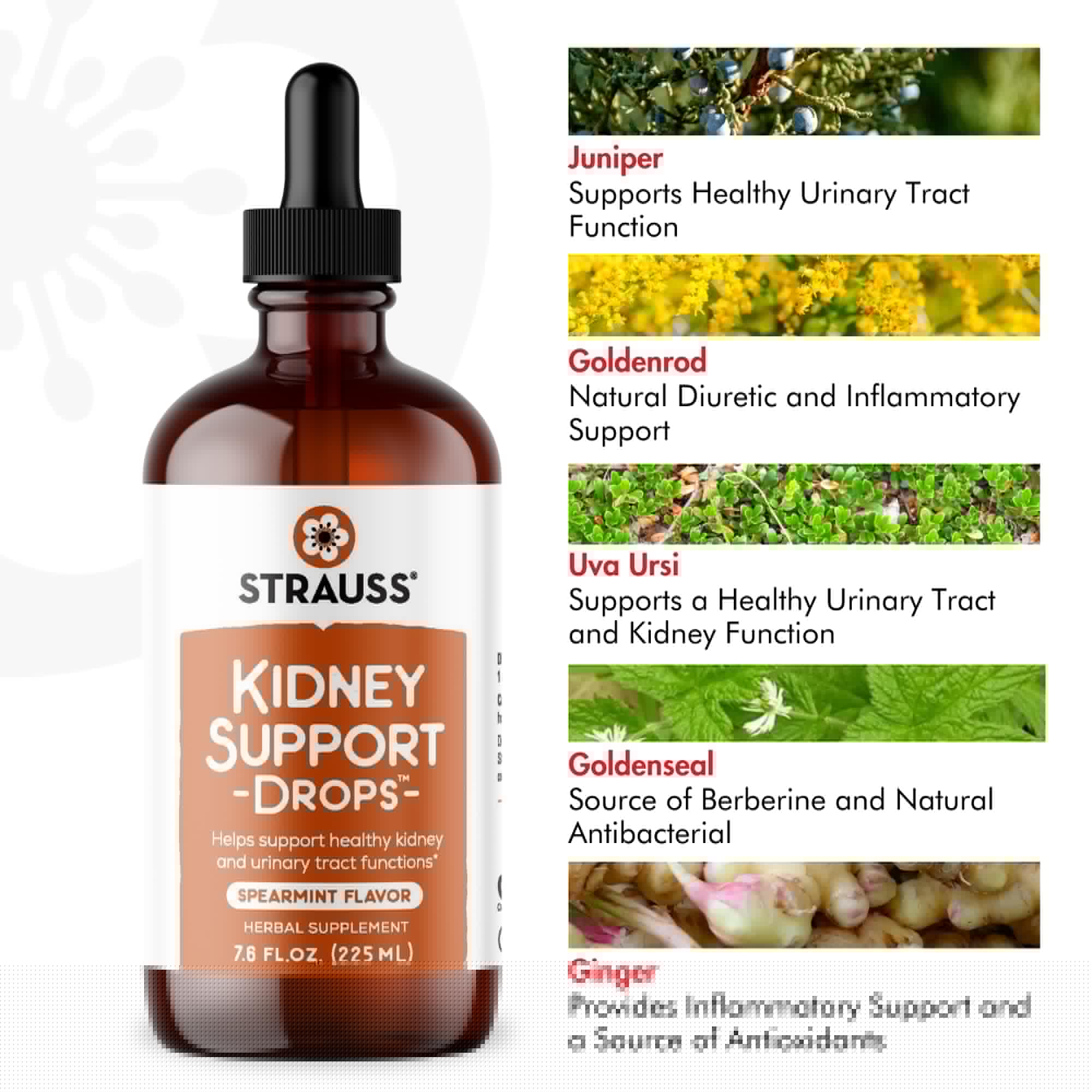 Strauss Naturals Kidney Support Drops – Herbal Kidney Support Supplement for Men and Women – Helps with Kidney Health and Urinary Tract Function – Vegan & Non-GMO – Spearmint Flavored – 100 ml Bottle Strauss Heartdrops buy australia supplements