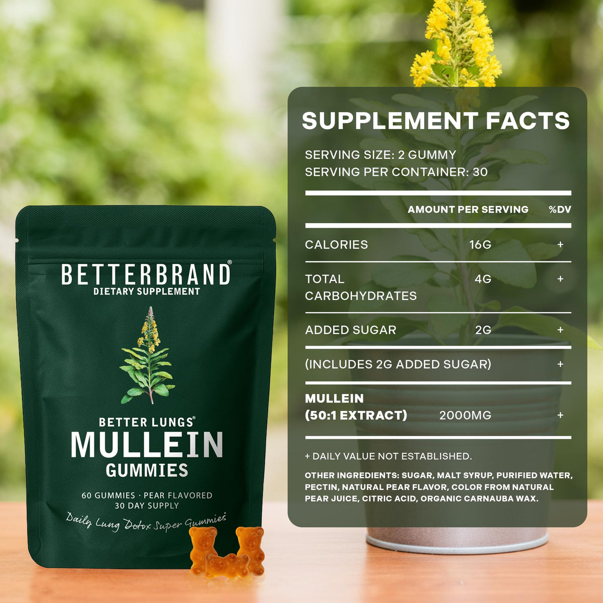 Betterbrand Mullein Chewable Gummies for Lung Cleanse and Detox, Respiratory Health Supplement, 1000mg Mullein Extract per Serving, 60 Gummies Betterbrand