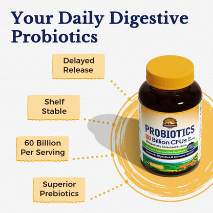 Vitalitown Probiotics + Prebiotics | 60 Billion CFUs 19 Strains | 60 Delayed Release Veg Caps | Shelf Stable, Prebiotics and Probiotics | Digestive Health Vitalitown