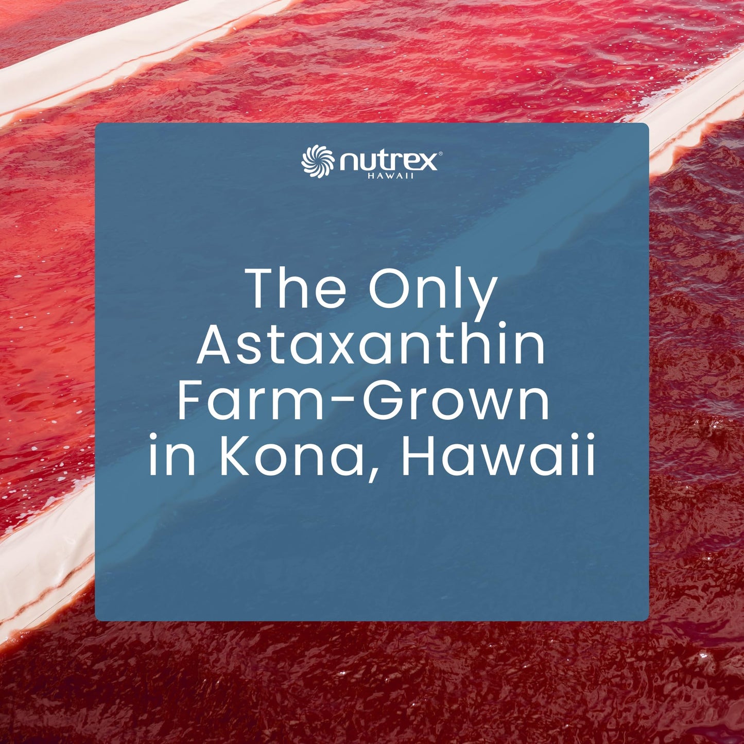Nutrex Hawaii BioAstin Hawaiian Astaxanthin - 12mg, 90 Softgels - Farm-Direct Premium Antioxidant Supplement to Support Eye, Skin Nutrex Hawaii