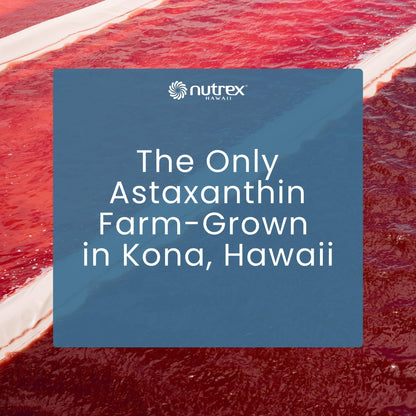 Nutrex Hawaii BioAstin Hawaiian Astaxanthin - 12mg, 90 Softgels - Farm-Direct Premium Antioxidant Supplement to Support Eye, Skin Nutrex Hawaii