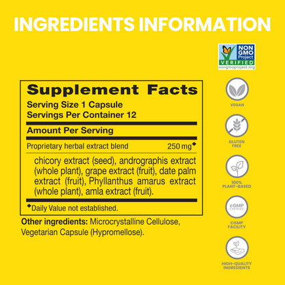Himalaya PartySmart, 12 Capsule Tube - Alcohol Breakdown Liver Support for a Better Morning After Drinking - Plant Based, Vegan, Non-GMO Himalaya