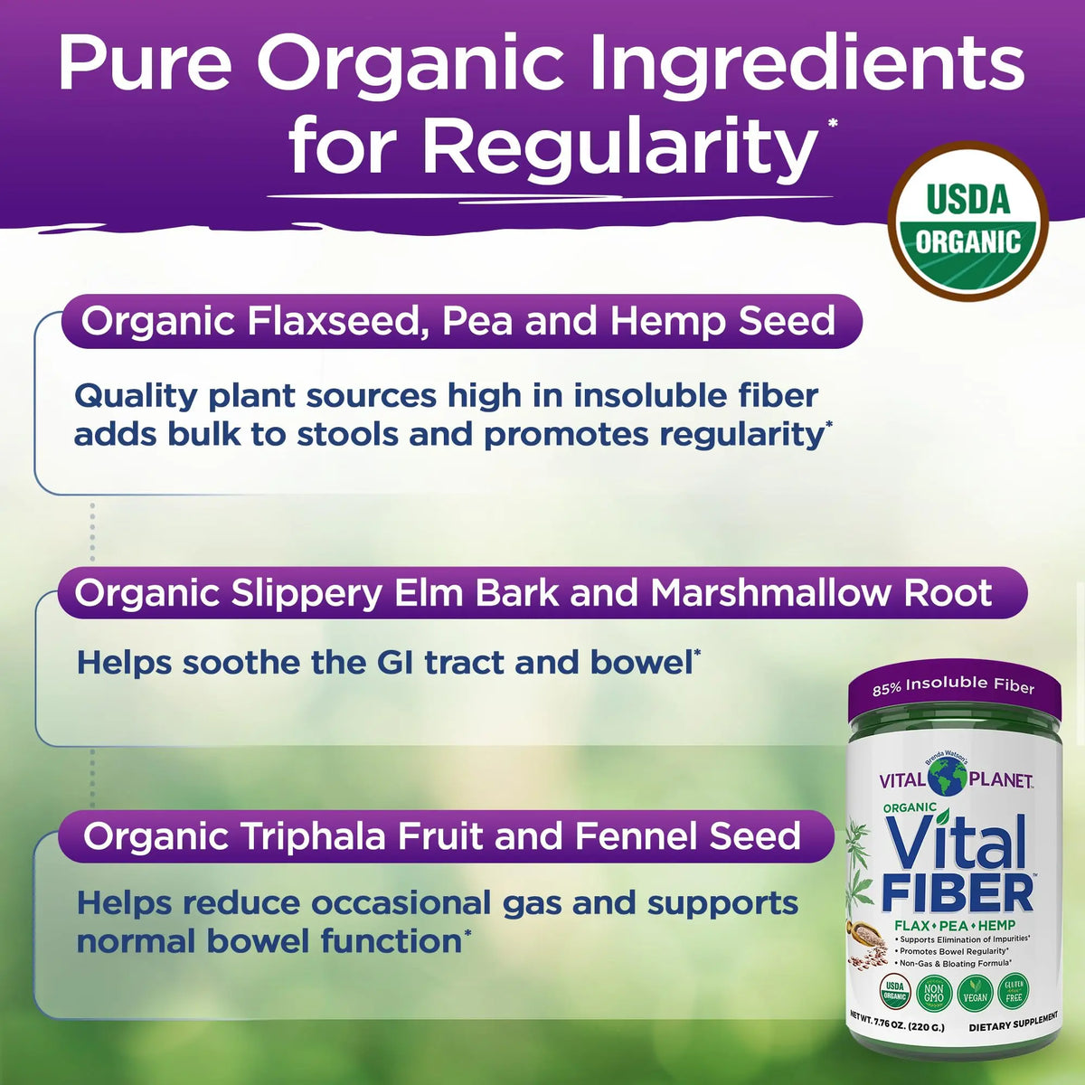 Vital Planet - Vital Fiber Powder, Soluble and Insoluble Fiber Supplement with Flax, Pea and Hemp, Organic Daily Dietary Supplement Supports Vital Planet