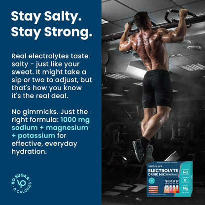 Venture Pal High Sodium Sugar Free Electrolytes Powder Packet - Hydration Packets with Vitamin, Sodium & Potassium | Zero Calories | Vegan, Keto & Paleo Friendly Venture Pal