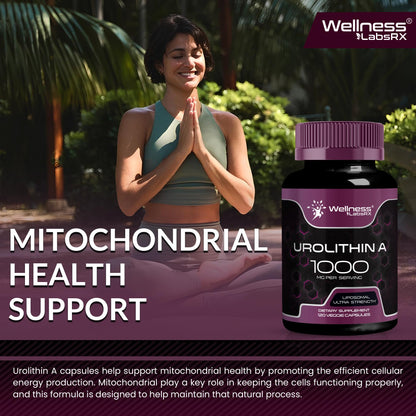 Urolithin A Supplement Capsules 1,000mg (98.9% Pure) – Advanced Urolithin A+ Formula for Cellular Renewal & Mitochondrial Support WELLNESS LABSRX