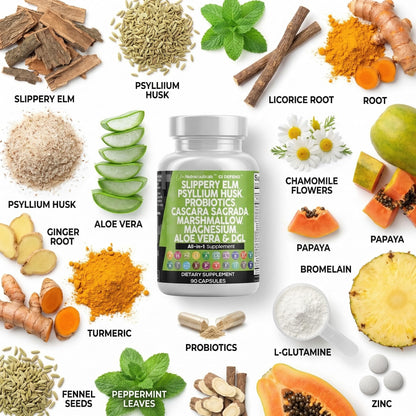 Clean Nutraceuticals Slippery Elm Psyllium Husk Pre Probiotic Digestive Gut Health Supplement with Aloe Vera Cascara Sagrada Clean Nutraceuticals