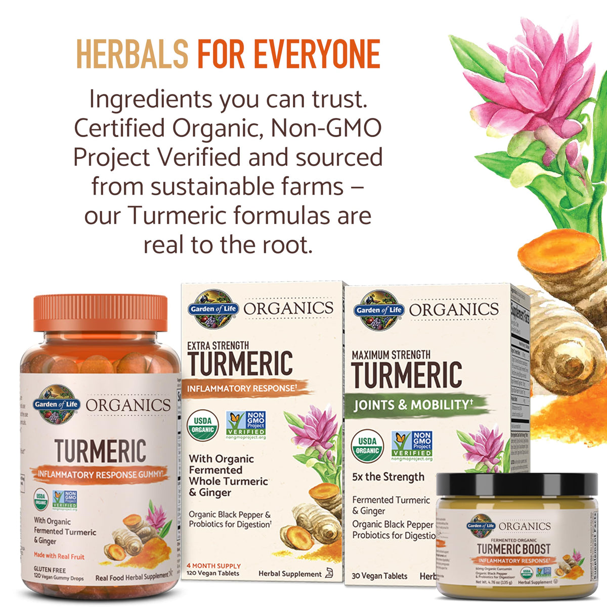 Garden of Life Organics Golden Milk Recovery & Nourishment Powder - 44mg Turmeric Curcumin (95% Curcuminoids), Ashwagandha - Organic Non-GMO Vegan & Gluten Garden of Life
