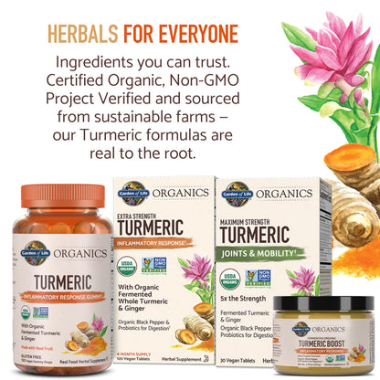 Garden of Life Organics Golden Milk Recovery & Nourishment Powder - 44mg Turmeric Curcumin (95% Curcuminoids), Ashwagandha - Organic Non-GMO Vegan & Gluten Garden of Life