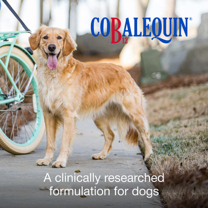 Nutramax Cobalequin B12 for Dogs, Oral Cobalamin Supplement with Folate, Vitamin B12 for Dogs Over 22 lbs., Supports GI Health, Chewable Tablets, 45 Count Nutramax Laboratories
