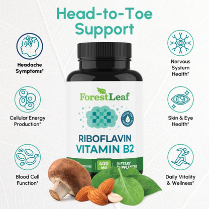 ForestLeaf Vitamin B2 Riboflavin 400mg - Energy, Skin & Cellular Health Supplement - Nervous System Support - Vitamin B 2 VIT B - Non-GMO & Gluten Free ForestLeaf