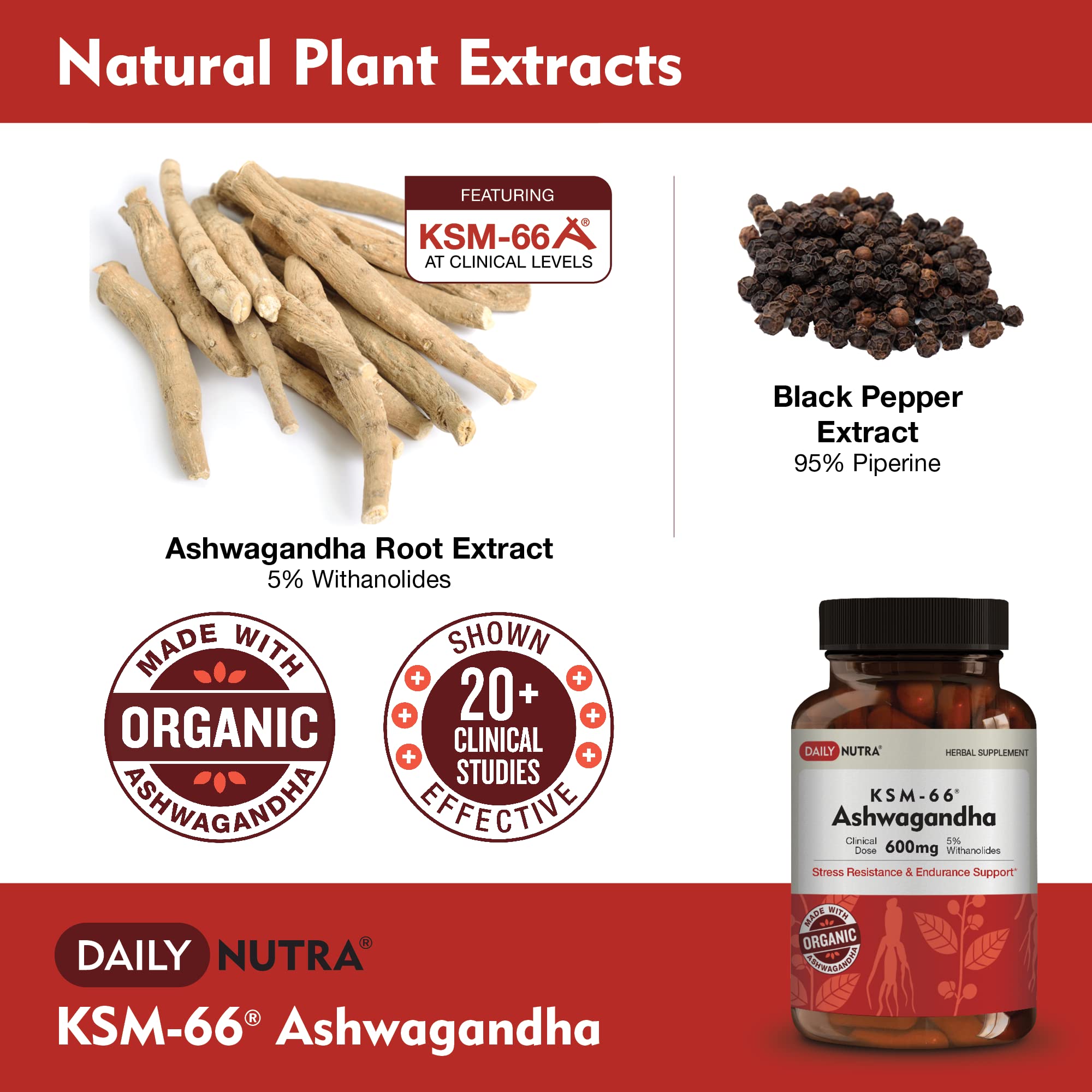 DailyNutra KSM-66 Ashwagandha 600mg Organic Root Extract - High Potency Supplement with 5% Withanolides | Relieves Tiredness, Supports Relaxation, Focus, Energy, & Muscle Growth (90 Capsules) DailyNutra buy australia supplements
