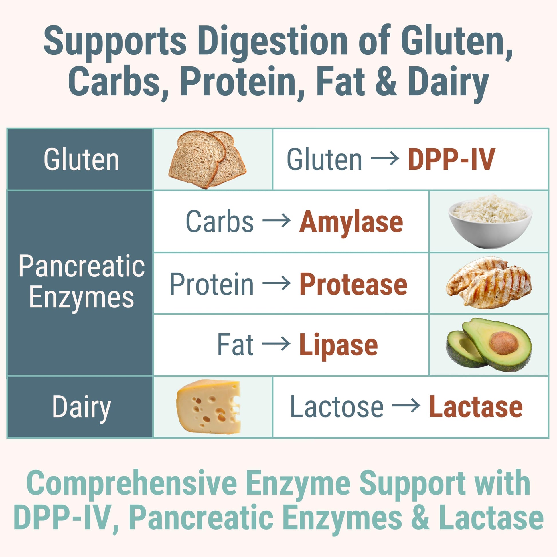 Gluten & Lactase Digestive Enzyme Gummies – Lactase Pancreatic Enzymes with DPP‑IV Lipase Gluco‑Amylase Lactase, Drops Chewables Capsules Pills Powder Supplement Alt, Pancreatic Support, for Kids SHIZAM buy australia supplements