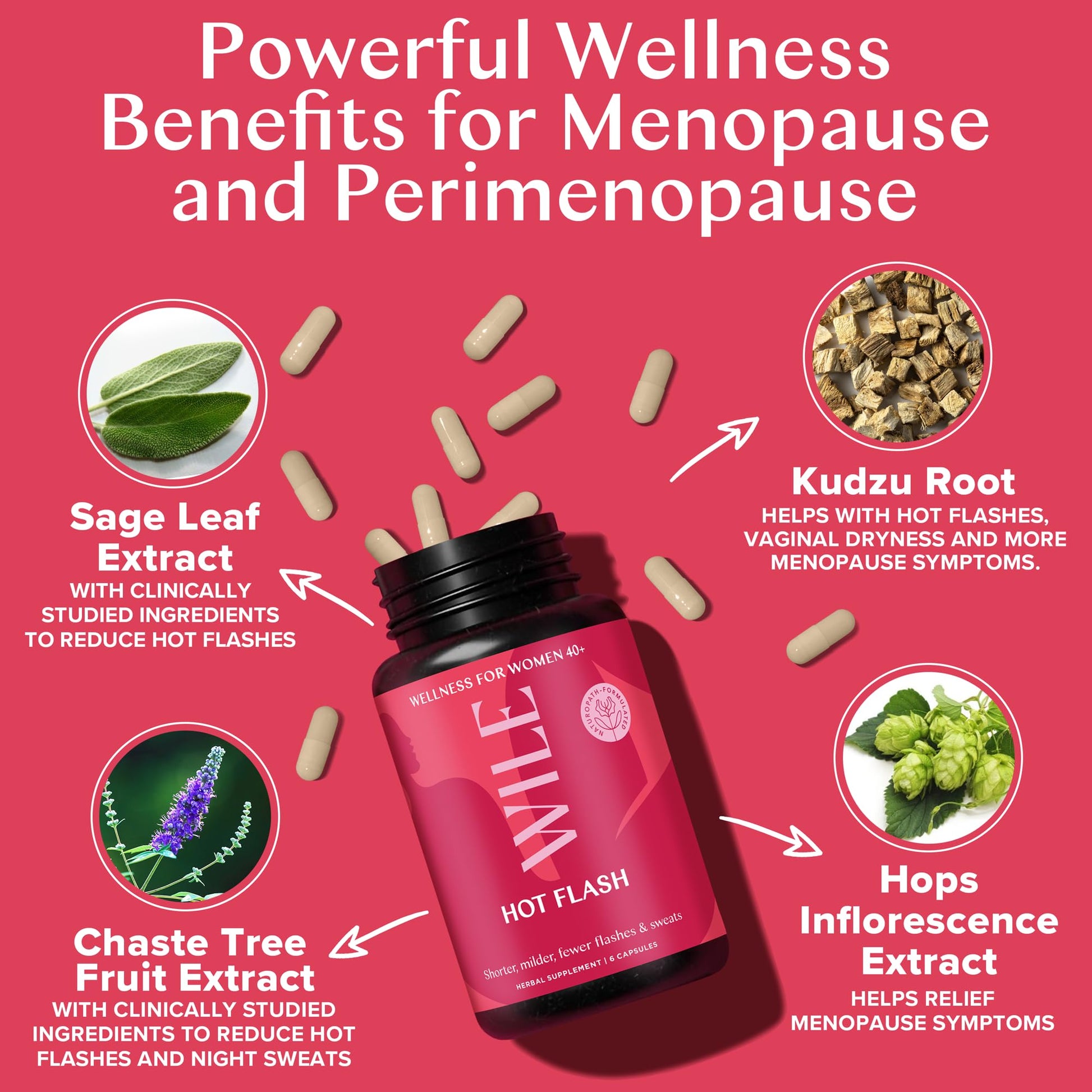 WILE Menopause and Perimenopause Supplements for Women - Hot Flashes and Night Sweats Relief with Kudzu Root - Premenopause Support for Stress, Hot Flash, Hormone Balance & Restful Sleep, 30 Servings WILE buy australia supplements