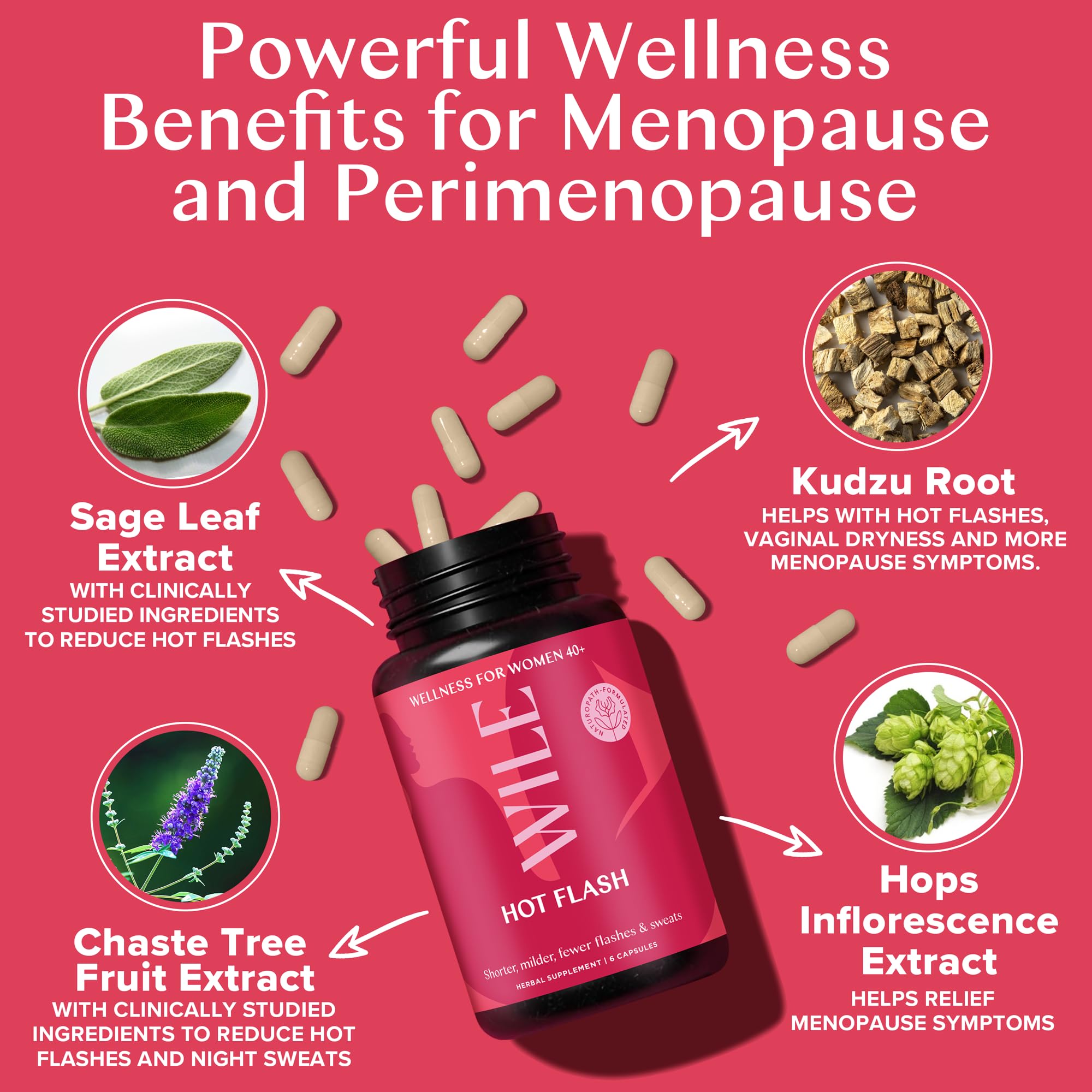 WILE Menopause and Perimenopause Supplements for Women - Hot Flashes and Night Sweats Relief with Kudzu Root - Premenopause Support for Stress, Hot Flash, Hormone Balance & Restful Sleep, 30 Servings WILE buy australia supplements