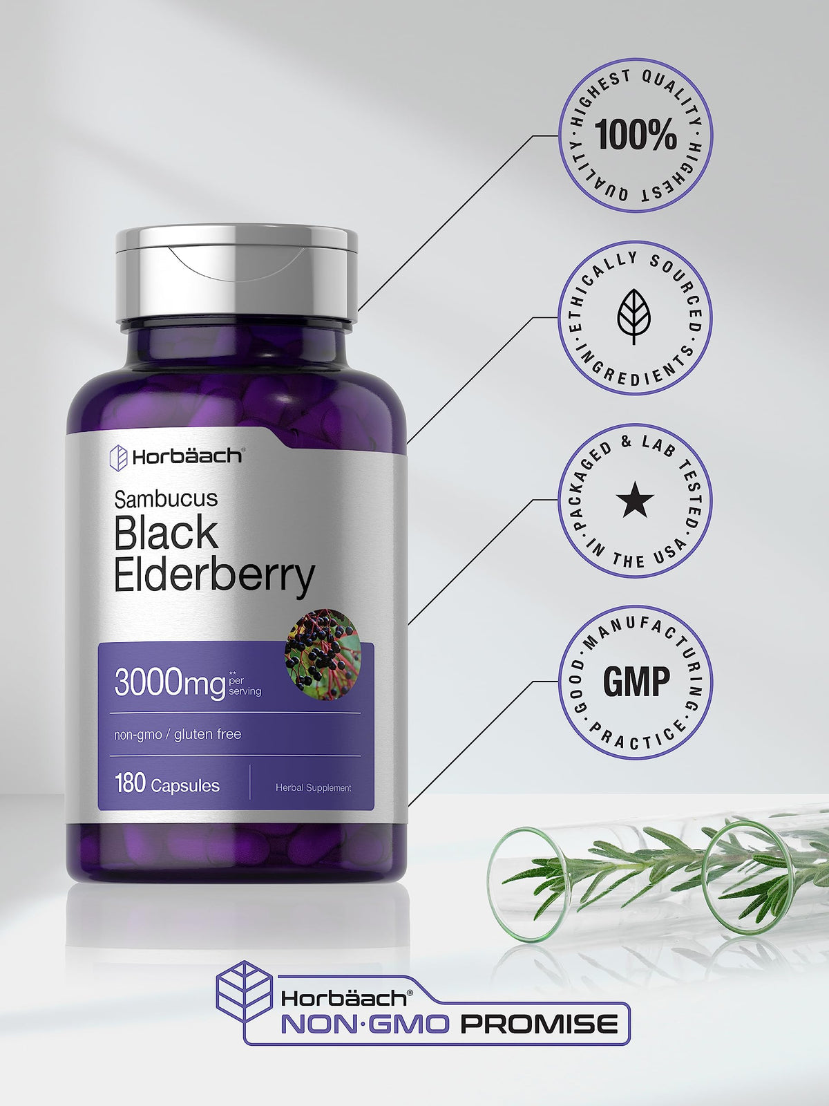 Horbäach Black Elderberry | 180 Count | Non-GMO, Gluten Free | Sambucus Extract Supplement Horbäach