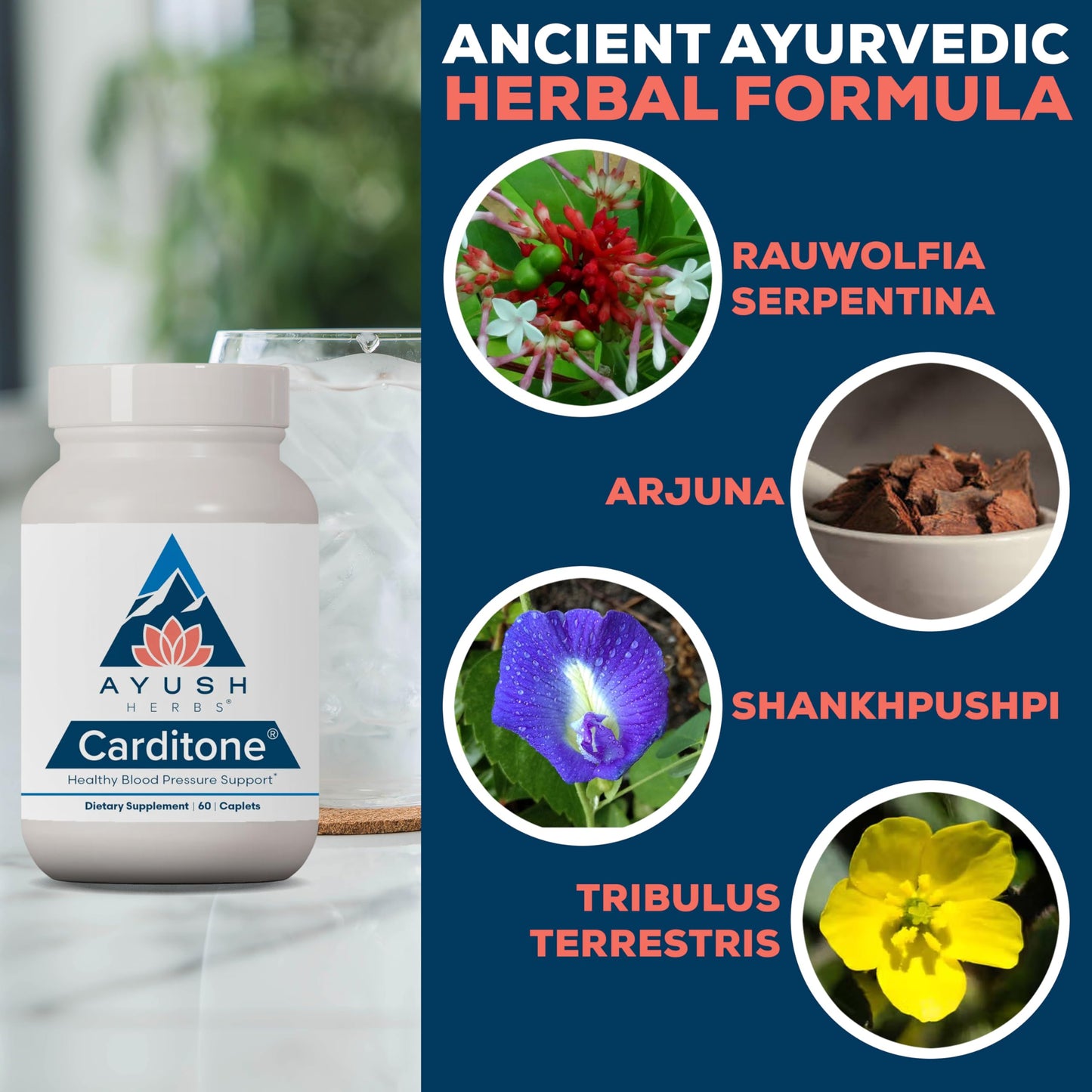 Ayush Herbs Carditone - Natural Heart Health Supplement for Women & Men, BP Formula, Holistic Heart Support with Rauwolfia, Arjuna, Calcium Ayush Herbs