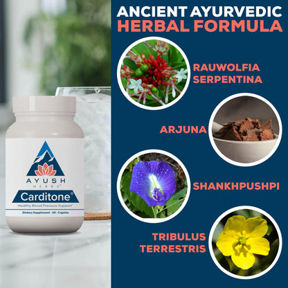 Ayush Herbs Carditone - Natural Heart Health Supplement for Women & Men, BP Formula, Holistic Heart Support with Rauwolfia, Arjuna, Calcium Ayush Herbs