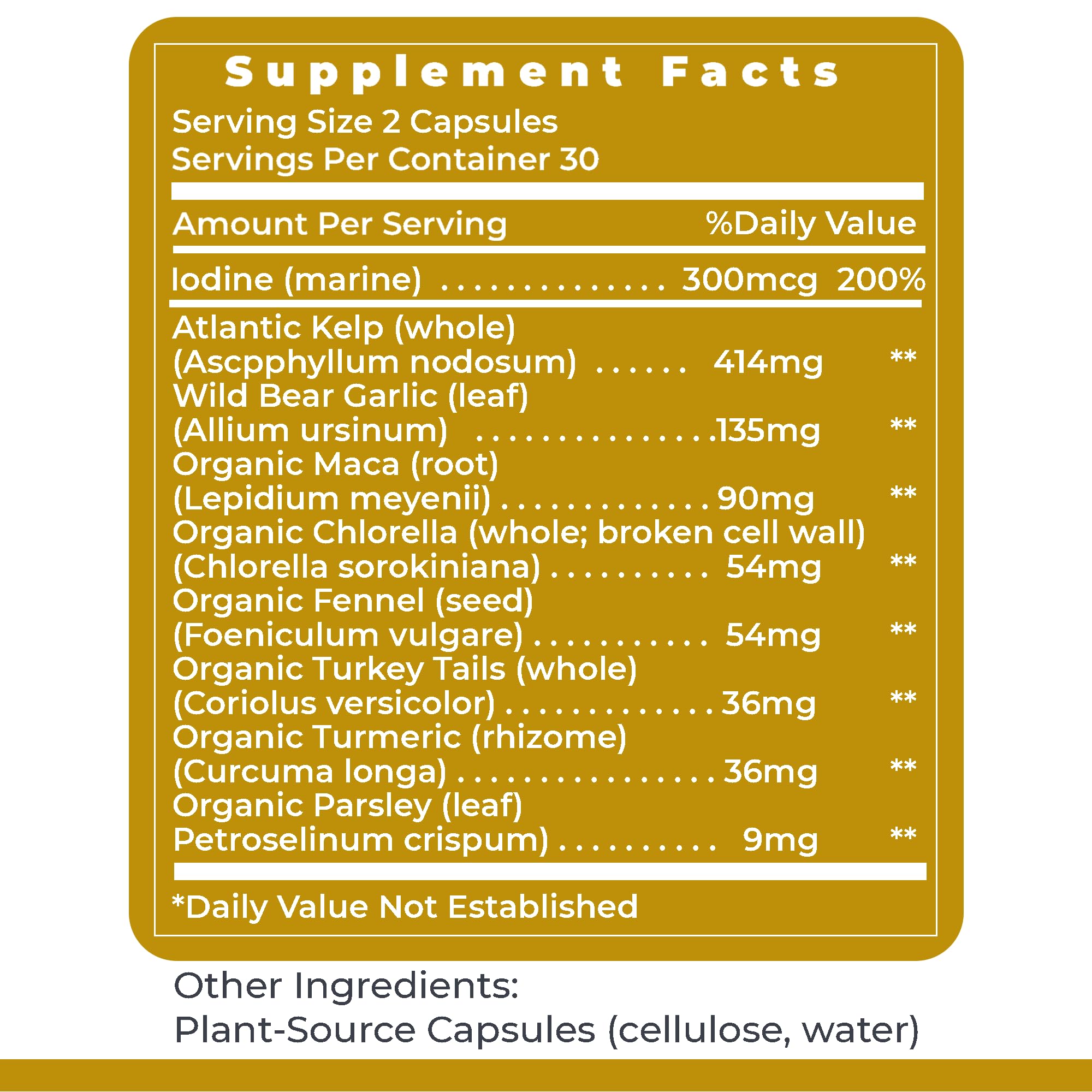 Premier Research Labs ThyroVen - Thyroid Support for Women, Thyroid Support for Men, Thyroid Supplement, Thyroid Support Complex with Naturally-Sourced Iodine - 60 Capsules Premier Research Labs buy australia supplements