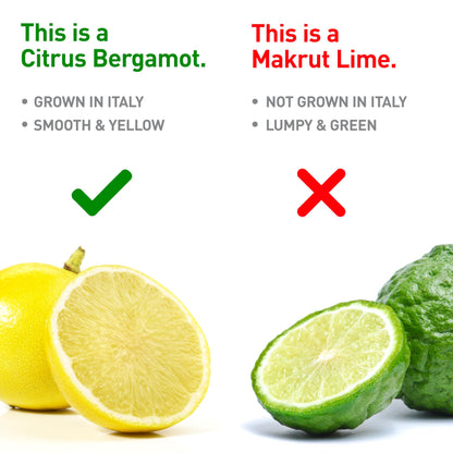 BergaMet Citrus Bergamot Supplement, 170:1 Extract, 1200mg per Serving, 80% Polyphenols, Italian Citrus Bergamot Supplement, BergaMet