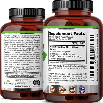 Zazzee USDA Organic Ginger Root 20:1 Extract, 5% Gingerols, 100 Capsules | Vegan, 3+ Month Supply, Digestive & Stomach Support, Zingiber Officinale, All-Natural, Non-GMO, Made in the USA Gsupps Australia