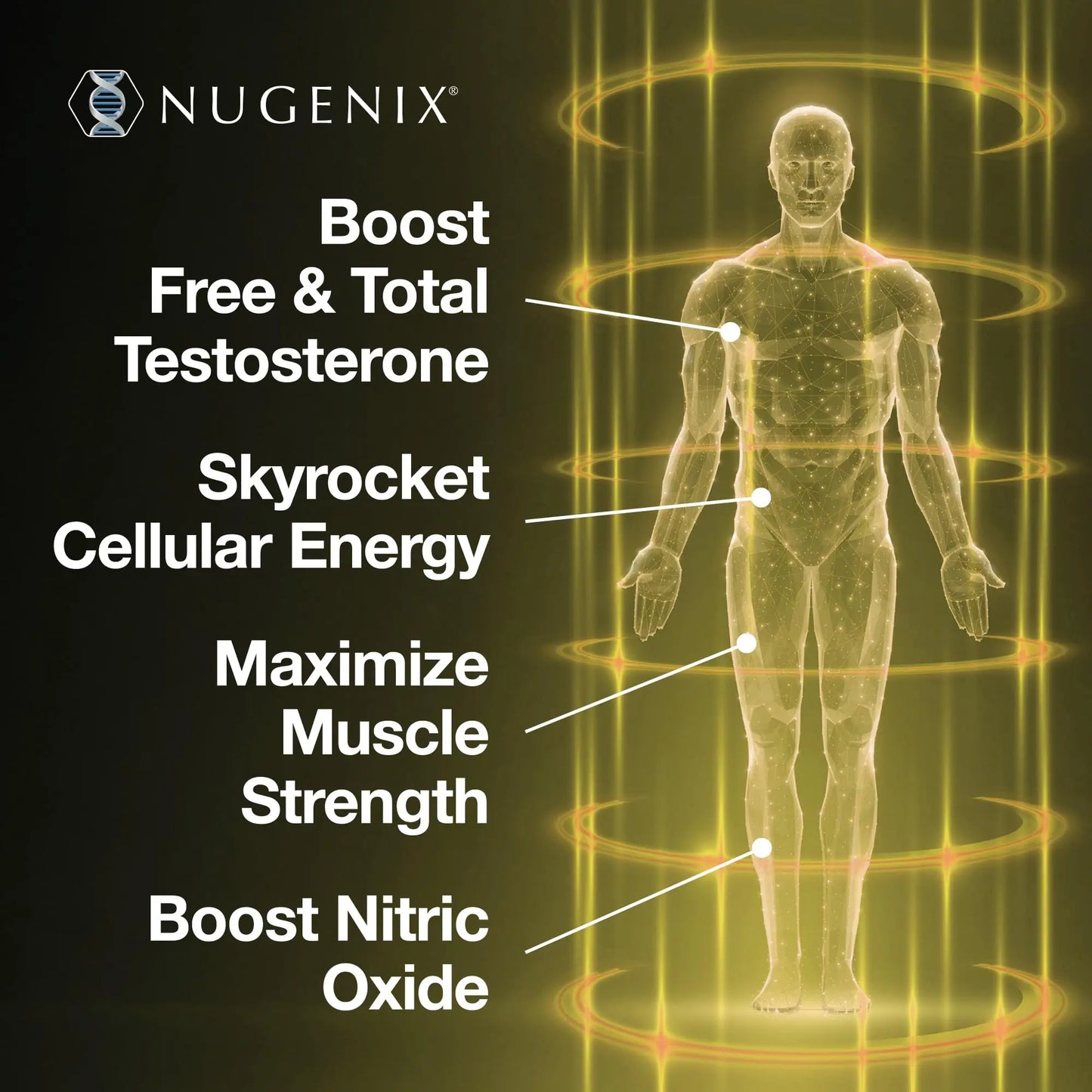 Nugenix Total-T2 - Nitric Oxide Booster for Men, Tesnor, S7, ElevATP, Tongkat, Citrulline, Nitric Oxide and Testosterone Supplement for Men (90 Count) Nugenix